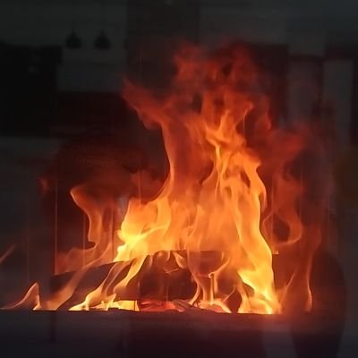 adodov's profile picture. 97,5% organic + 2,5% micro plastics