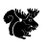 GISHSqroose's profile image