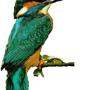 michael  sarsfield - @gwili9147 - Twitter