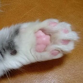 れんじんさんのプロフィール画像