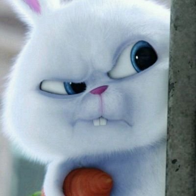 Yaw_Vinnie's profile picture. cyberops