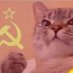 Comrade Meow (@ComradeMeow3) Twitter profile photo