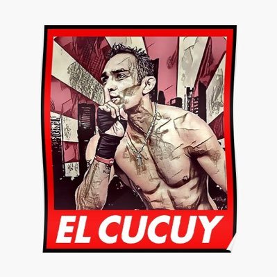 MMA FUN GUY Profile