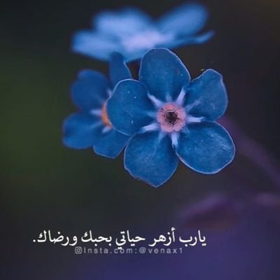 مسلمة طموحة محبة للحق ورافضة للظلم
اتمنى أن تزول الغمة عن بلادي