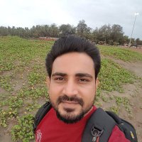 Ravinder Dhiman PhD (@stillrdhiman) 's Twitter Profile
