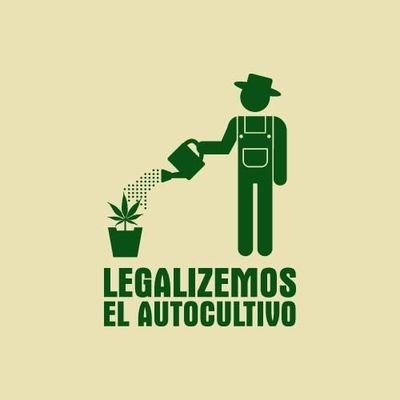 no vendemos cannabis, nuestro compromiso es el AUTOCULTIVO.
CANNABIS LEGAL 🍀💪