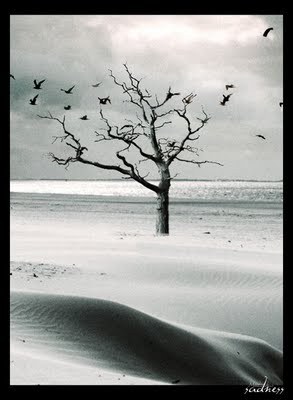 OFMchatroller's profile picture. A person should not change due to circumstances, but rather grow from the experience, and live each day like they may never love again. xx