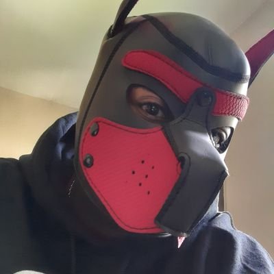 🔞NSFW🔞🌈
FTM (He/Him)/Pan/Switch/Pup #ABDL
#BDSM #Kink #Porn #Pupplay #DiaperPup #420
DMs(Open) Fetlife: DigitalDrk
