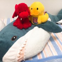 γππ·π΄σ §σ ’σ ·σ ¬σ ³σ Ώ (@f2tmcs5b) 's Twitter Profile