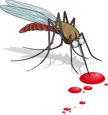 Tracking Dengue Virus Spread