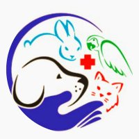 Pakistan Pets Hospital(@PakPetsHospital) 's Twitter Profile Photo