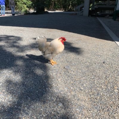 sakainoyuki's profile picture. やっぱり温泉が好き！でもサウナも好き！