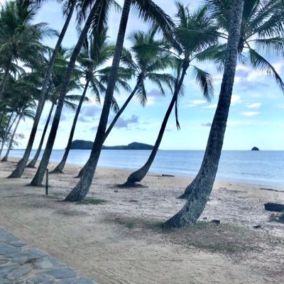 jackisaacwise's profile picture. 