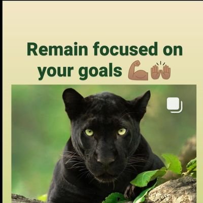 EntreMould's profile picture. This is my vision where entrepreneurs collaborate to create an #EntreMould to join IP, transfer skills & create more employment across the world 🗺 🙏🏽💪🏽🙌🏽