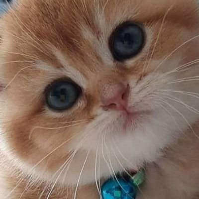 TeguhVR46's profile picture. 