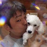 しんさん石井伸一(@iPLUSONE2005) 's Twitter Profile Photo
