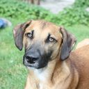 Sally Cook - @janetsfoss - Twitter