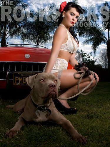 Our mission is to bring awareness to this wonderful, loving breed known as the pit bull!! We are currently working on our 2013 Calendar!!