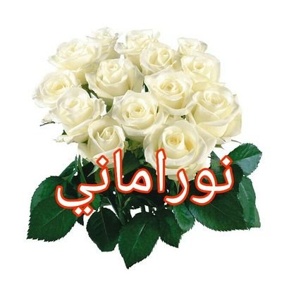 ‏‏‏اعلامية حرة. وصاحبة مجلة الحريةملكي.