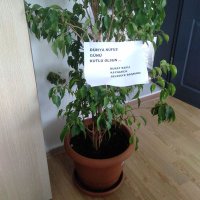 Perihan (@perihanakcaba) Twitter profile photo