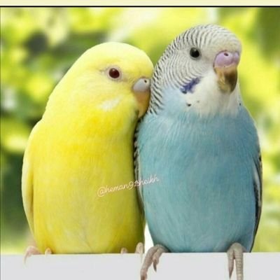 5BMW6BaHPxdLgNS's profile picture. ‏‏تمر الحياة بين حلم وأمنية .. ولا يحدث إلا ماكتب الله لنا .. عيونٌ تحلم وقلبٌ يتمنى والله كريـم .