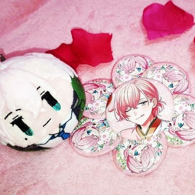 めぐたす@初回ツイフィ必読さんのプロフィール画像