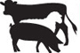 OTA_LTD's profile picture. The Ontario Trucking Association Livestock Transporters' Division represents livestock haulers in Ontario, working to ensure humane transport for all animals.