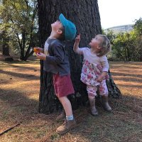 Trevor Hill (@drakpollen) 's Twitter Profile
