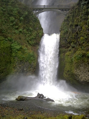 NettBio's profile picture. Ce projet est née de l’orientation environnementale de l’école primaire La Chaumière, où des gestes sont posés pour créer un monde plus écologique.