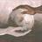 MsTC213's profile image