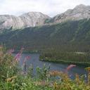 Amanda Cryer - @LongRide4LongRn - Twitter