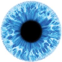 SPECS Network (@specsnetwork) 's Twitter Profile