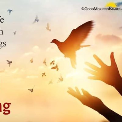 RohitGawale's profile picture. 