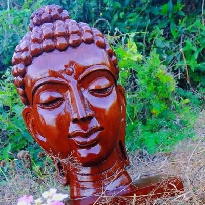 We are doing wood carving business. We will work on all kind of wood works for home, shop & temple. Wooden sculptures statue and wooden gifts seller.