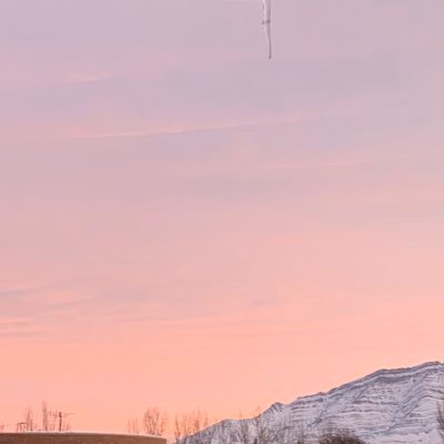 itslil_jill's profile picture. •