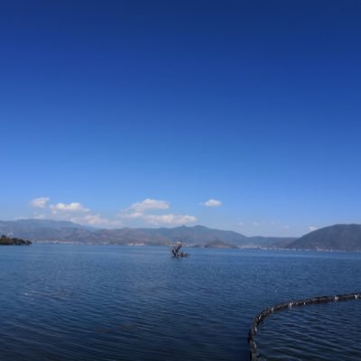 Mrtan891229's profile picture. Be yourself