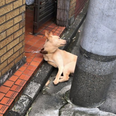 mul__m's profile picture. 