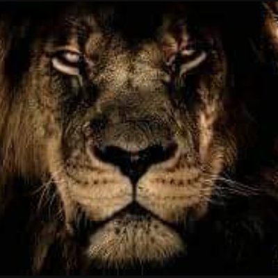 aktifgaybey's profile picture. 