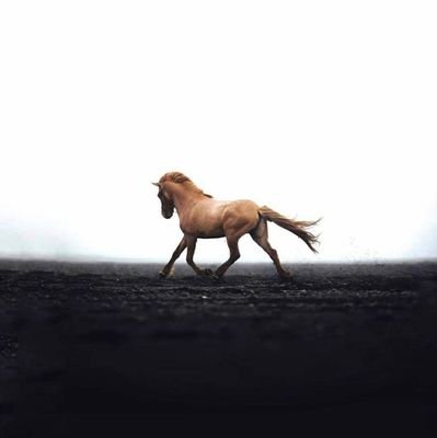 omaima185's profile picture. 