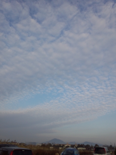 7note's profile picture. 