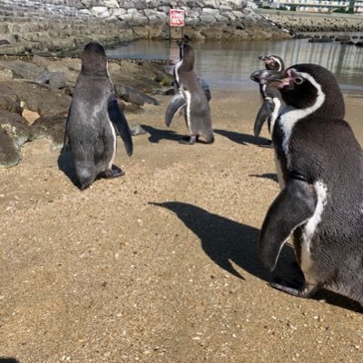 うぃっひーー
楽しんでいきまひょ。
遊ぼうぜ！