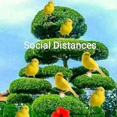 DependuN's profile picture. I am a strong  driver to drive anything.