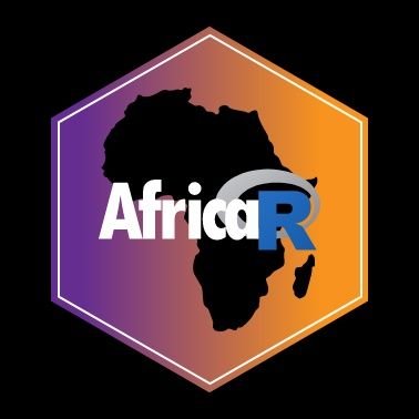 Developing the R community in Africa.