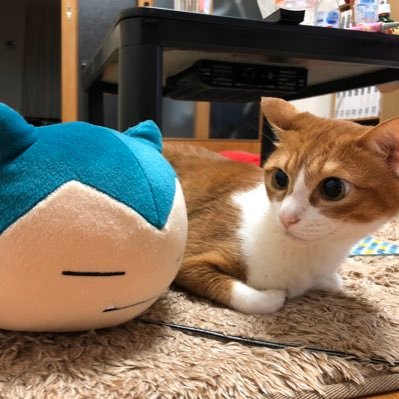 ndayo2nd's profile picture. ぼくです