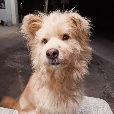 beambieberさんのプロフィール画像