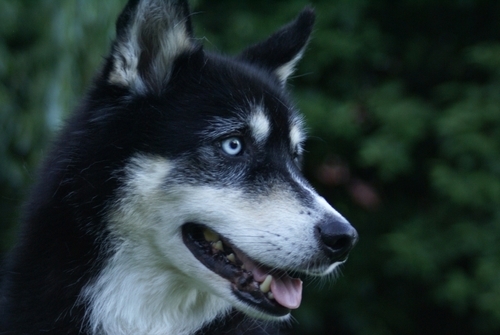 CharlieAndHutch's profile picture. Facebook is a fascist dumping ground of awful. So, maybe it’s time to live here again.