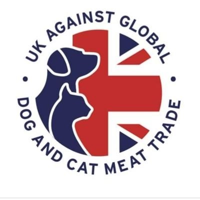 We are a animal welfare group, raising awareness of the global DCMT and campaigning for better International Animal Welfare laws.  #Vegan #Pigoneer
