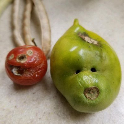 ruyguy21881's profile picture. Home inspector, digital asset investor.  Lover of XRP.