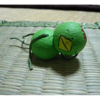 たんぽぽ (@kappa4313) 's Twitter Profile