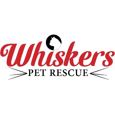 Whiskers is a non-profit organization dedicated to caring for homeless pets in our communities through adoptions, community awareness & fostering.🐱